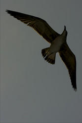 Similar image 9328682