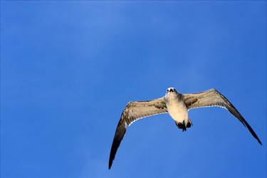 Similar image 9328691