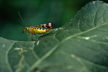 Similar image 9329074