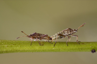Similar image 9329087