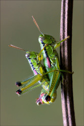 Similar image 9329096