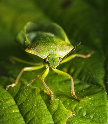 Similar image 9329303