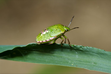 Similar image 9329313