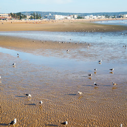 Similar image 9329757