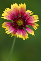 Similar image 9329981