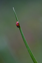 Similar image 9330165