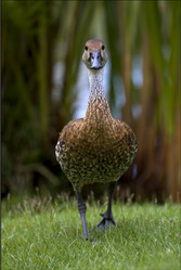 Similar image 9330194