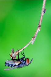 Similar image 9330196