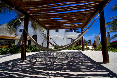 Similar image 9330202