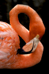 Similar image 9330205