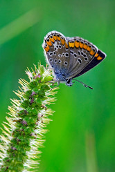 Similar image 9330358