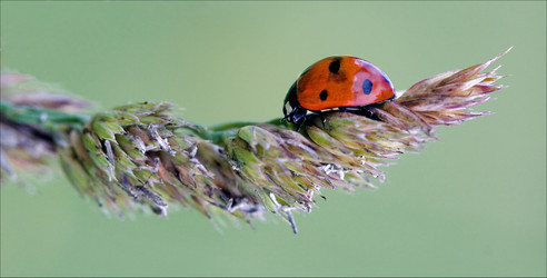 Similar image 9330366