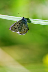 Similar image 9330376