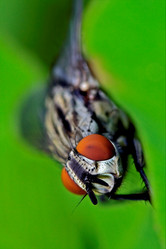 Similar image 9330384