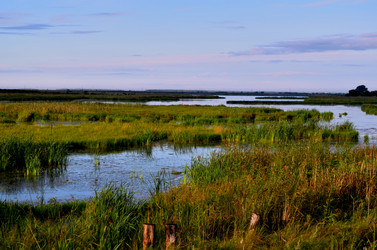 Similar image 9378082