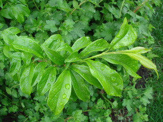 Similar image 9378306