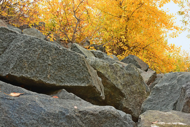 Similar image 9378503