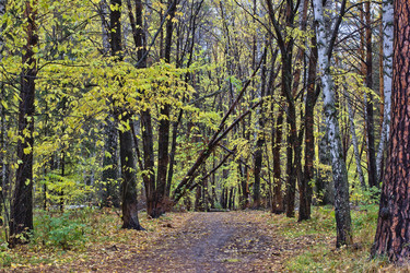 Similar image 9379974