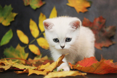 Similar image 9379989