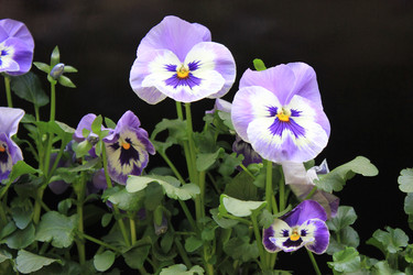 Similar image 9379992