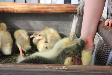 Similar image 9380007