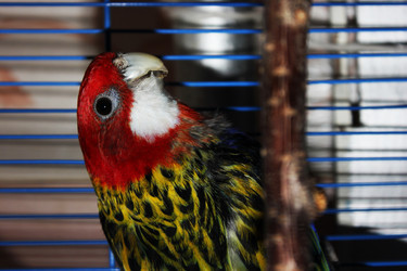 Similar image 9380012