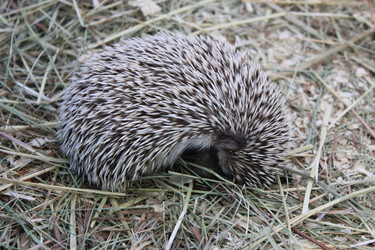 Similar image 9380014