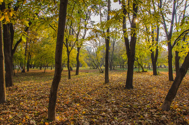 Similar image 9380094