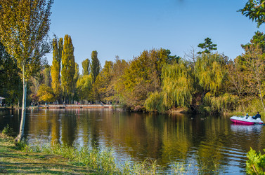 Similar image 9380100