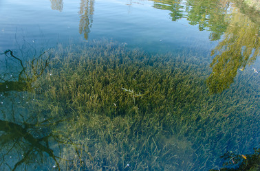 Similar image 9380105