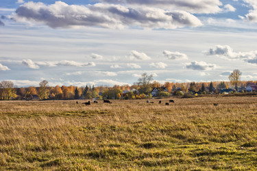 Similar image 9380106