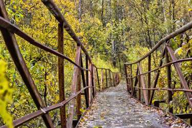 Similar image 9380112