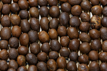 Similar image 9380728