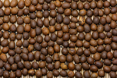 Similar image 9380731