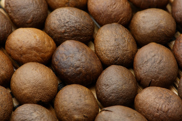 Similar image 9383462