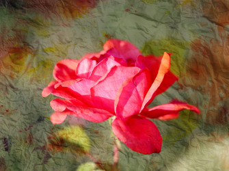 Similar image 9383536