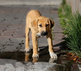 Similar image 9383542