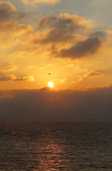 Similar image 9383545