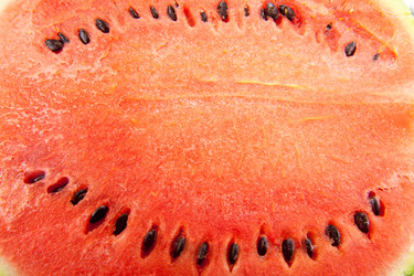 Similar image 9384055