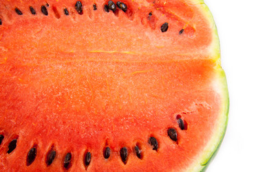 Similar image 9384059