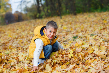 Similar image 9384408