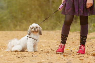 Similar image 9384632