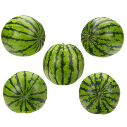 Similar image 9385316