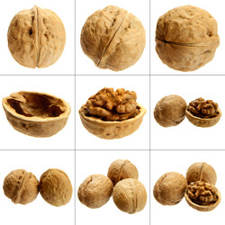 Similar image 9385318