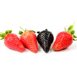 Similar image 9385502