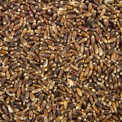 Similar image 9385521