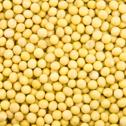 Similar image 9385525