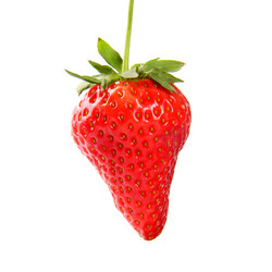 Similar image 9385671