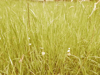 Similar image 9386719