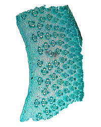 Similar image 9386761